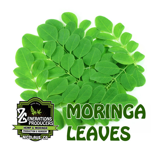 Moringa Leaves