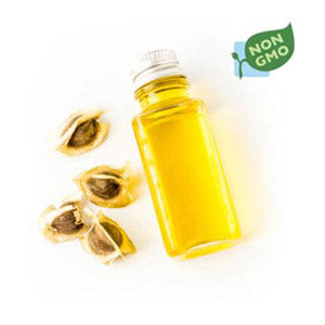 Moringa Oil - 1oz