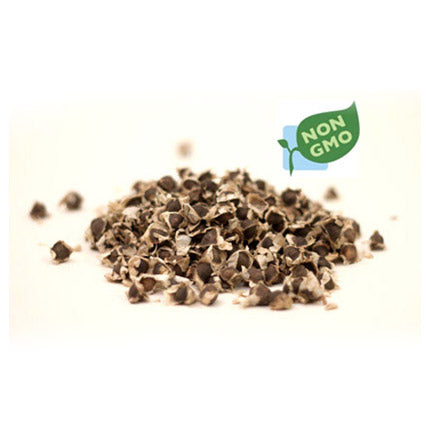Moringa Seeds - 1000