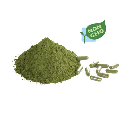 Moringa Powder - 5 LB