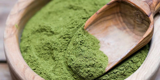 Moringa Leaf Powder Treating Malnutrition